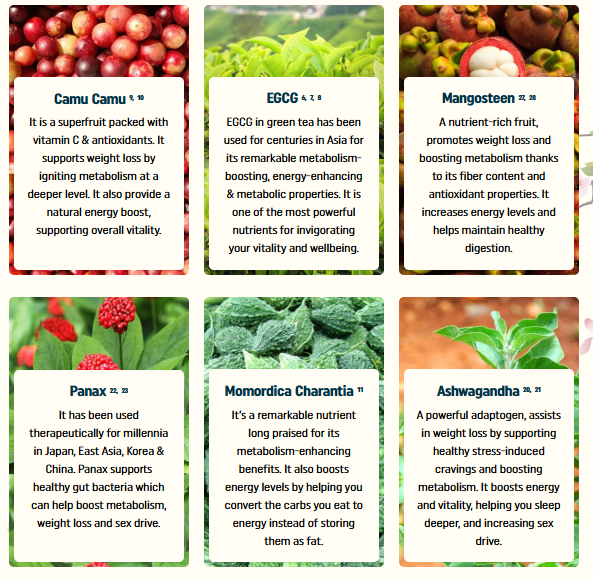 Nagano Lean Body Tonic Ingredients